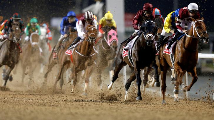 Saturday's Dubai Wold Cup is worth $10 million to the winner